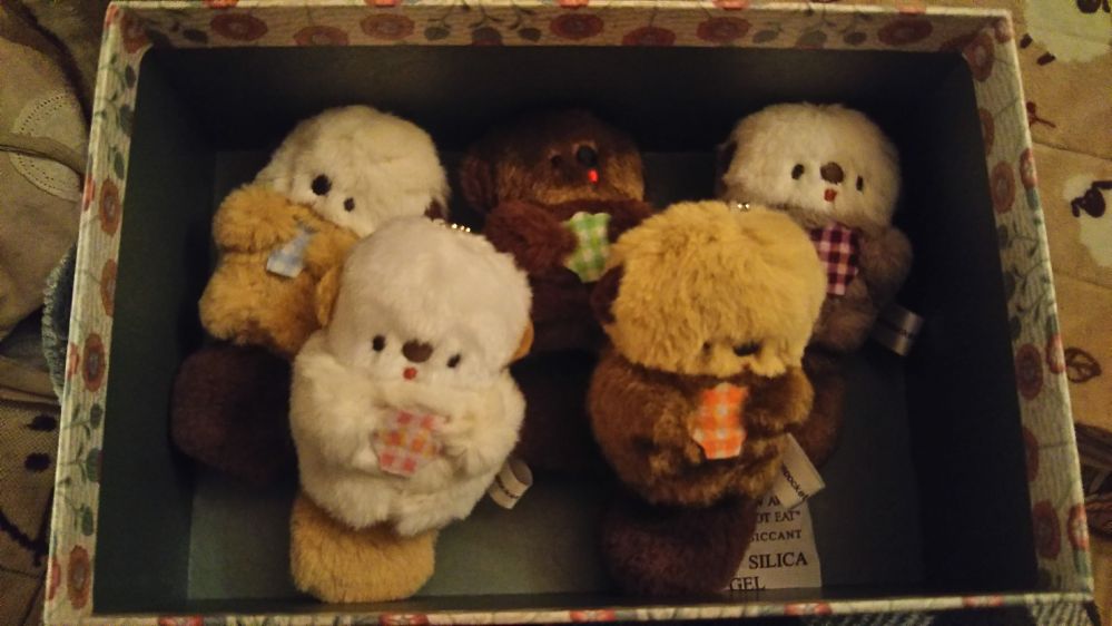 にこやまポッケ ラッコ ガチャガチャ