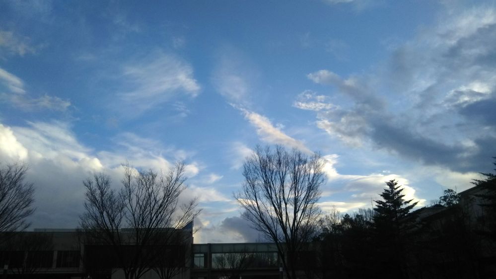 東北公益文化大学 山形県 酒田市 庄内