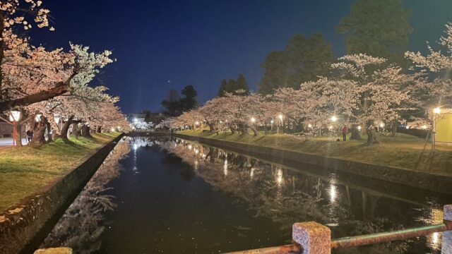 鶴岡公園 桜まつり 山形県 庄内地方