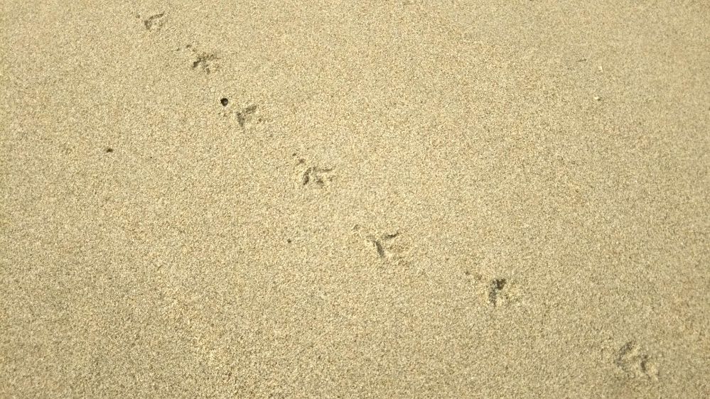 湯野浜 鶴岡 庄内 山形