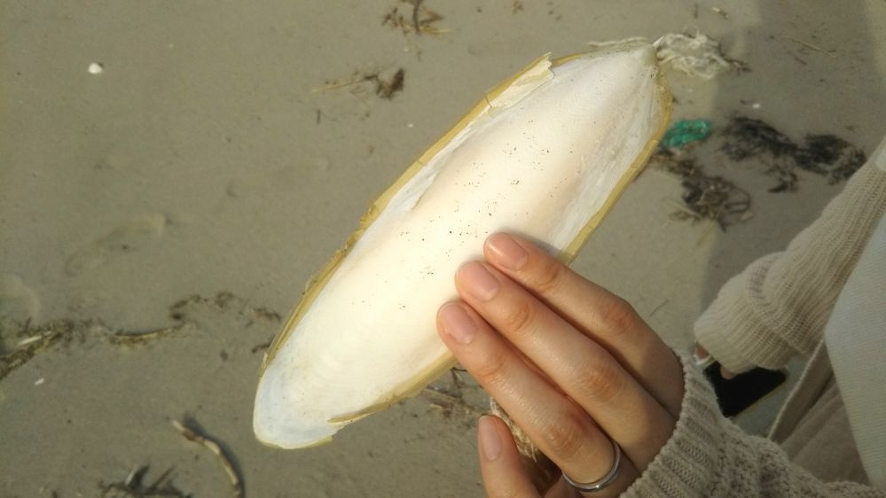 湯野浜 鶴岡 庄内 山形