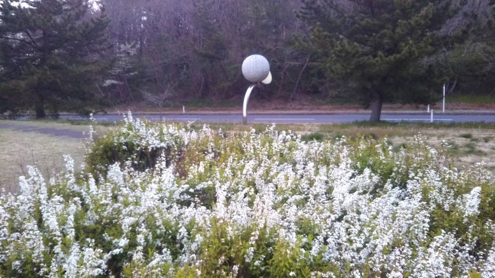 庄内空港 緑地公園 鶴岡 庄内 山形