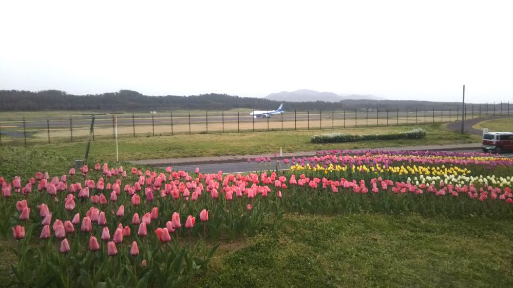 庄内空港 庄内夕日の丘 チューリップ 緑地公園 鶴岡 庄内 山形