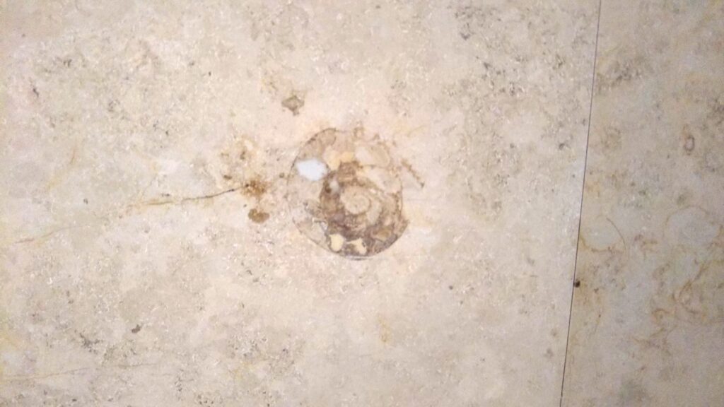 シルバニアファミリー 企画展 シルバニア村のおいしい時間 酒田市美術館