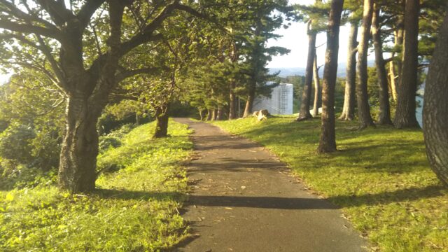 眺海の森 松山 山形県 庄内地方