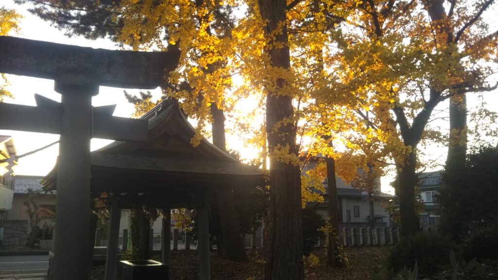 八幡公園 八幡神社 紅葉 銀杏 もみじ狩り 余目 庄内 山形