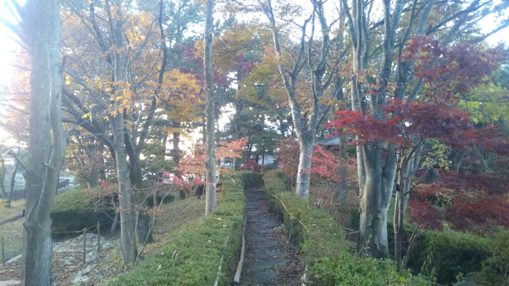 八幡公園 八幡神社 紅葉 銀杏 もみじ狩り 余目 庄内 山形