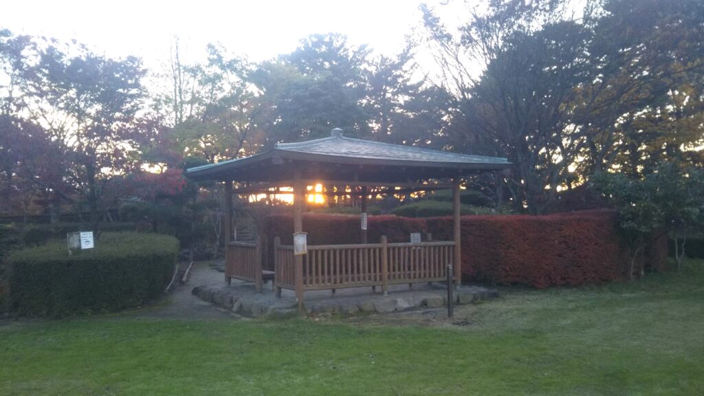 八幡公園 八幡神社 紅葉 銀杏 もみじ狩り 余目 庄内 山形