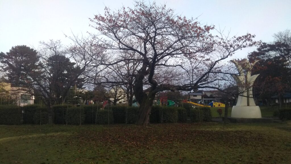 八幡公園 八幡神社 紅葉 銀杏 もみじ狩り 余目 庄内 山形