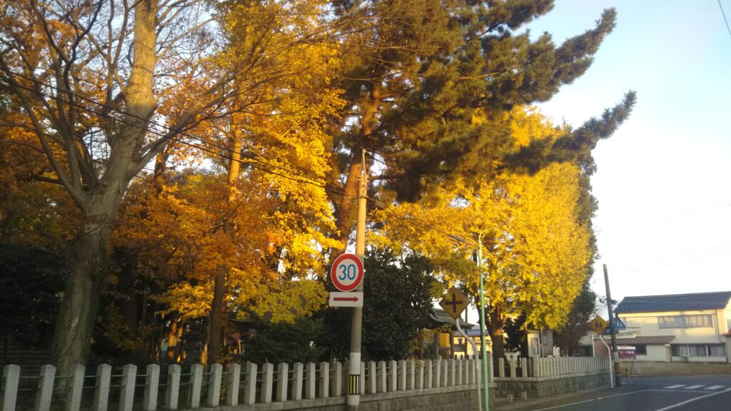 八幡公園 八幡神社 紅葉 銀杏 もみじ狩り 余目 庄内 山形