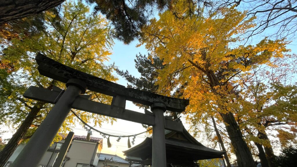 八幡公園 八幡神社 紅葉 銀杏 もみじ狩り 余目 庄内 山形