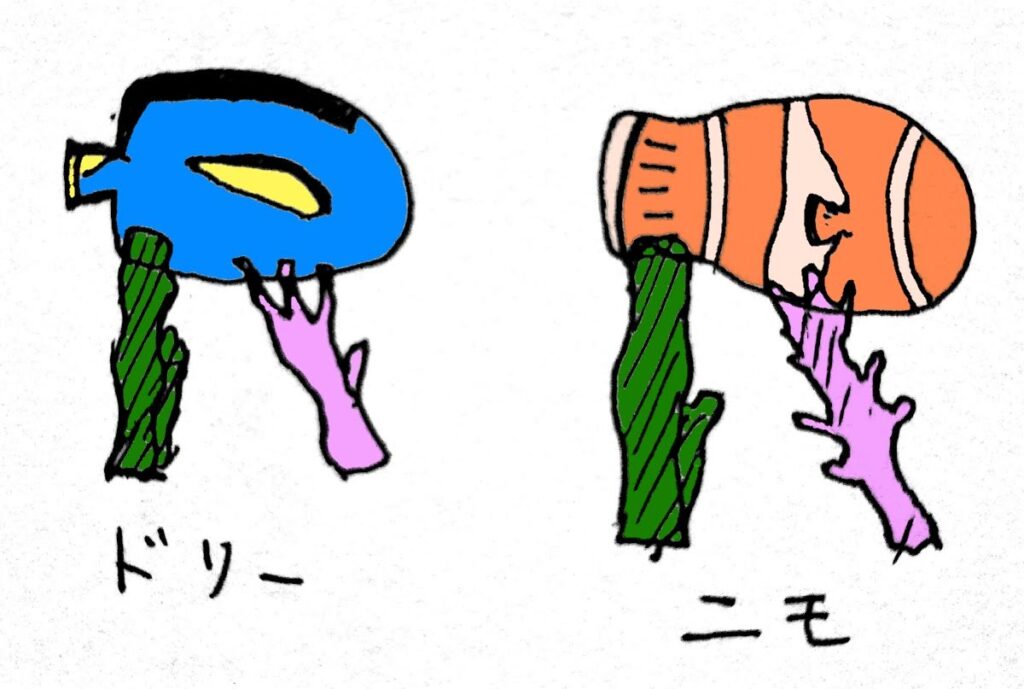 PIXAR ピクサー ブログ ドリー ニモ