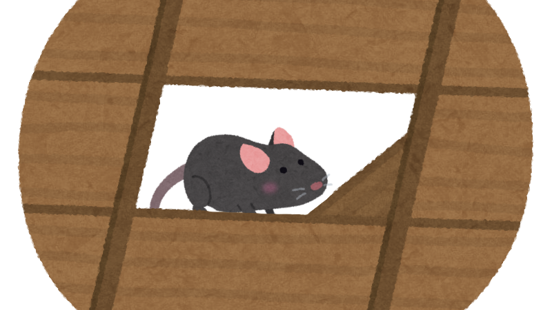 天井裏 何かいる 動物 ねずみ