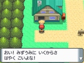 ポケットモンスター ダイヤモンド DS レビュー 感想 評価