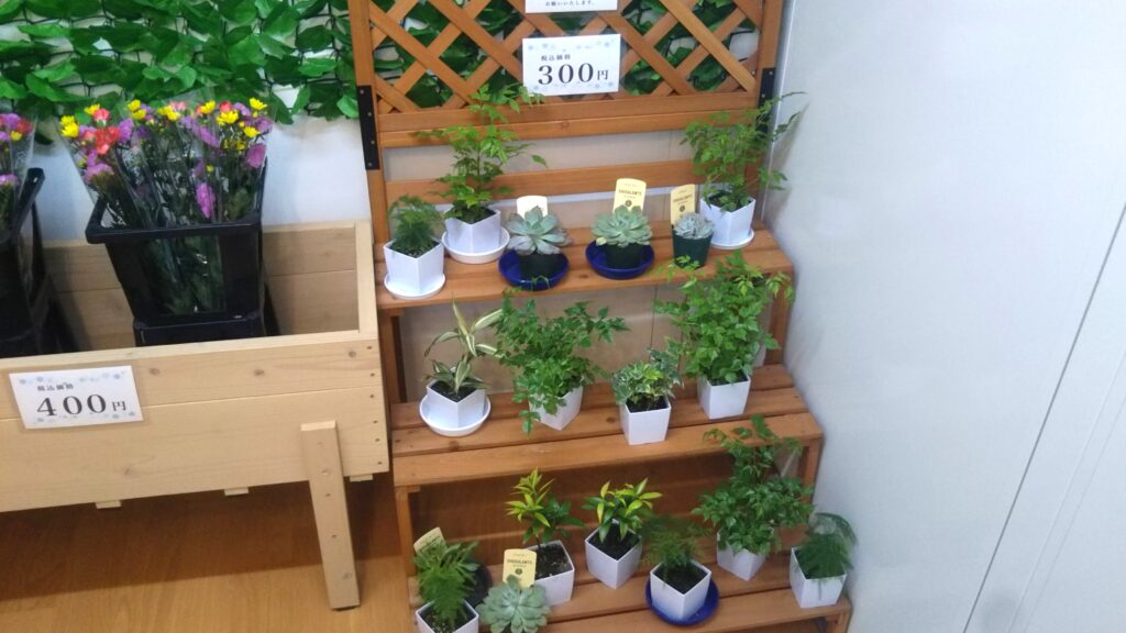 はなくろや 余目