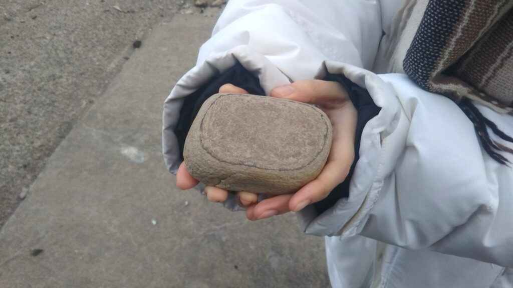 由良海岸 白山島