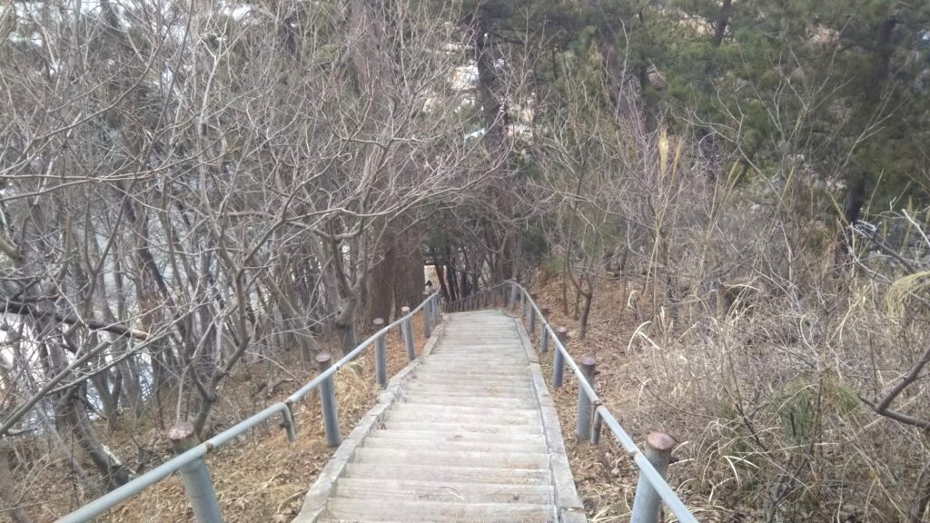 由良海岸 白山島