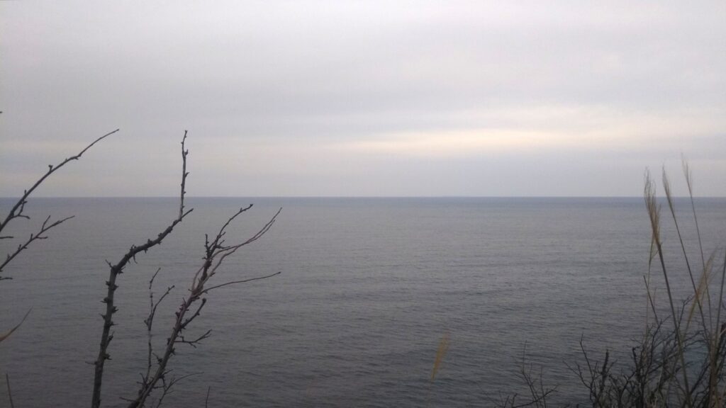 由良海岸 白山島