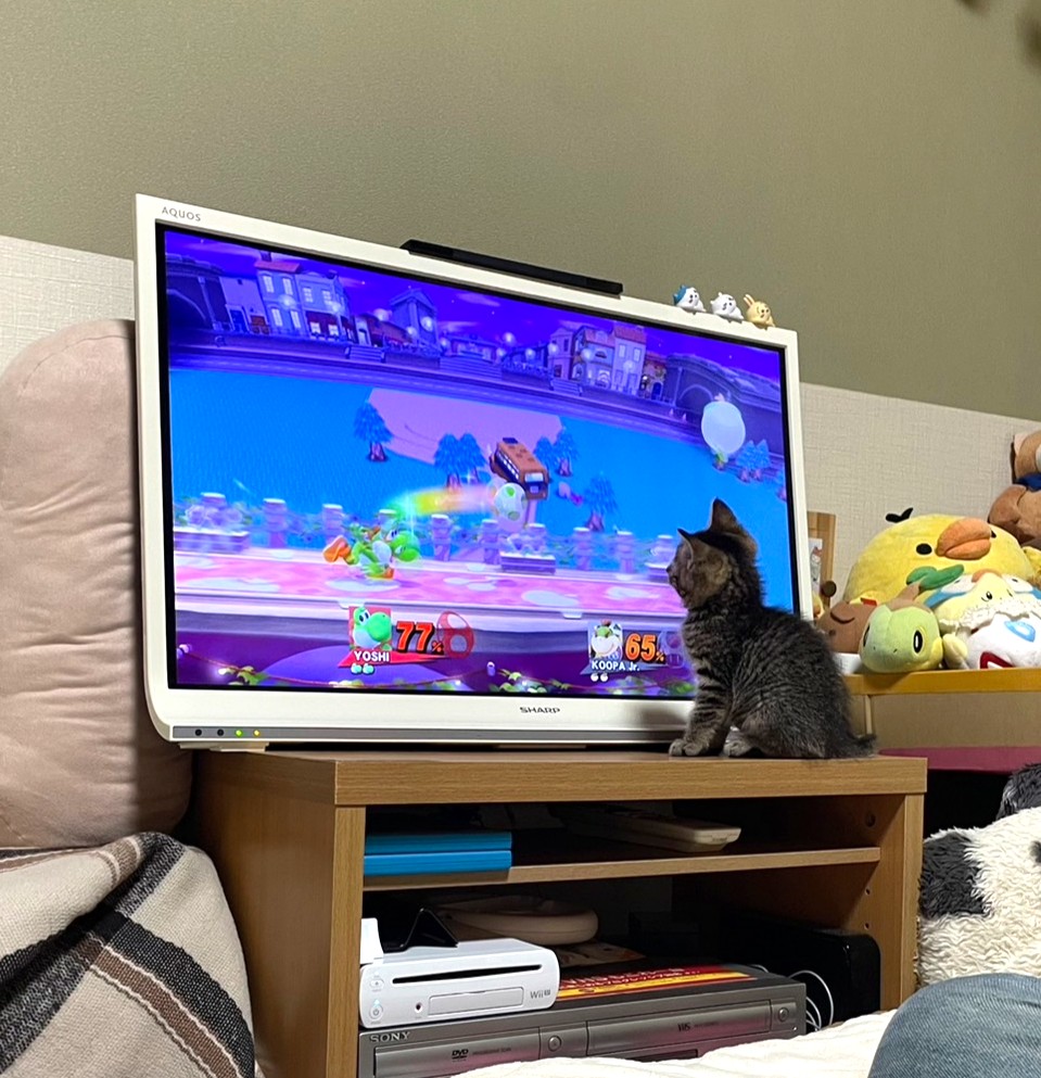 子猫 保護 1ヶ月間 記録