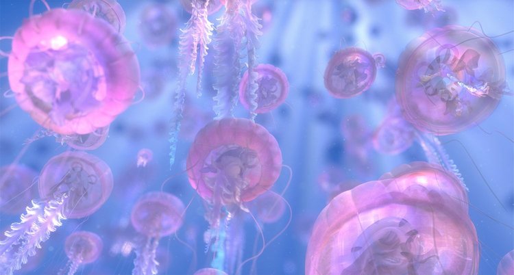FINDING NEMO ファインディング・ニモ PIXAR レビュー 感想 評価