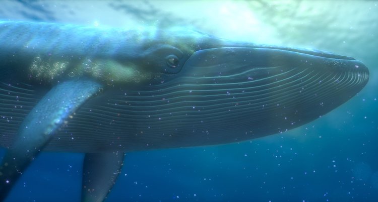 FINDING NEMO ファインディング・ニモ PIXAR レビュー 感想 評価